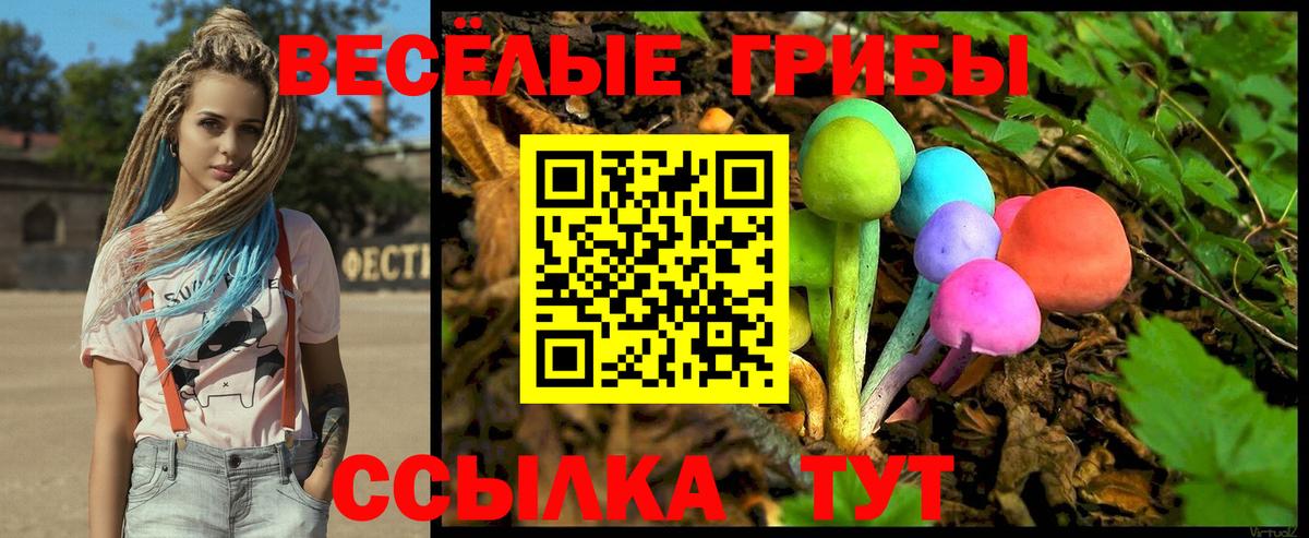 как найти   Вход с VPN  Евпатория  Галлюциногенные грибы Magic Shrooms 
